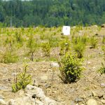 Проверка рынком: ESG-баланс и действующее законодательство Казахстана
